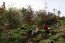 vogelen op Mount Cameroon