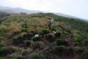 Savanne op Mount Cameroon
