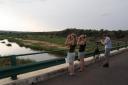 vogelen vanaf brug nabij Letaba