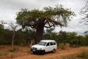 baobab net huurauto