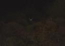 Aardwolf..........