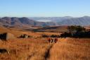 Landschap in Malolotja Nature Reserve Swaziland