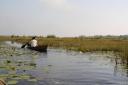 Mabamba swamp met visser én shoebill