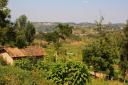 landschapsbeeld Rwanda, groene heuvels