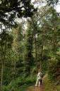 Vogelen in Nyungwe NP