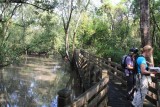 boardwalk door mangrove