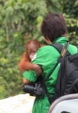 Forest school cute._._