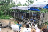 Forest School uitleg manager
