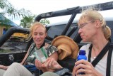 Pickup Picknick