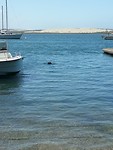 IMG-20190421-WA0072