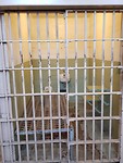 Kale cel Alcatraz