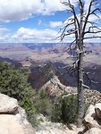Mooie Grand Canyon