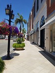 Rodeo Drive