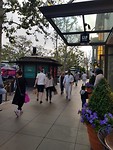 The Grove