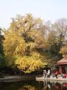 DSC04290