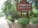 DSC06991