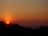 p259296-Taiwan-Alishan