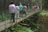 Alishan