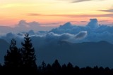 Alishan