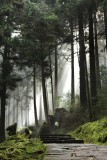 Alishan