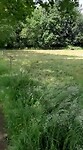 VID-20220601-WA0020