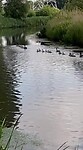 VID-20220602-WA0008