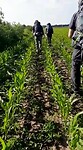 VID-20220602-WA0034