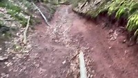 4. Bosbouwer, quads en mooie natuur