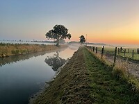 IMG_8726
