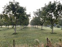 IMG_8727