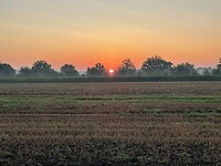 IMG_8729