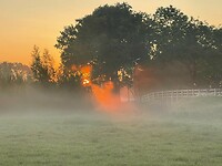 IMG_8731
