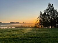 IMG_8734