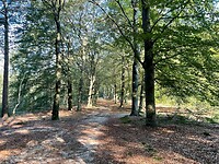 IMG_8737