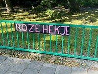 IMG_8745
