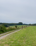 Ellis langs de route