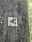 Dag 1 Luxemburgs MTB-bordje