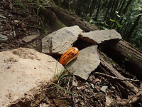 Dag2 P9130025