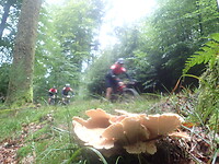 Dag 4 P9150031