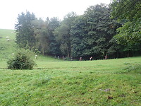 Dag 5  P9160046
