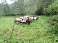 Dag 5  P9160048