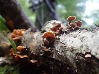 Dag 5  P9160058