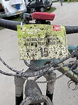 Dag 6 IMG_6942