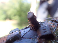 Dag 7 P9180039