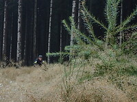 Dag 5
