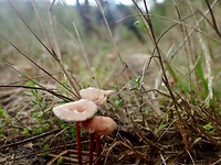 Dag 6