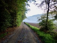dag 4
