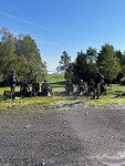 dag 5