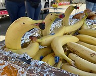 dag 5