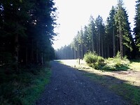 dag 5